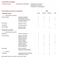 parasitoides-tordeuses