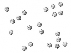 The <b> Beet western yellow virus </b> (<i> Beet western yellow virus </i>, BWYV) is a paraspheric polerovirus with an isocahedral structure.