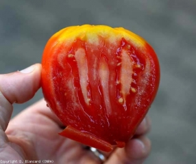 Paleta amarilla en esta fruta madura en sección transversal.