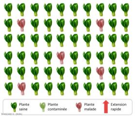 Repartition-Isolees2