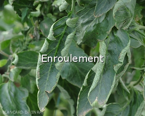 Diagnostic-Enroulement