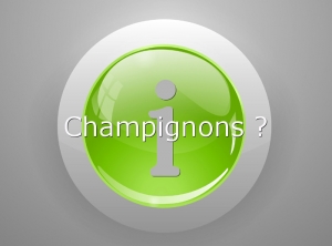 INFO-Champignons