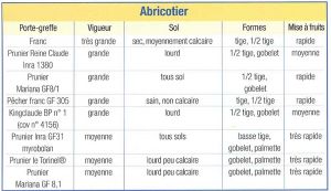 abricotier-PG