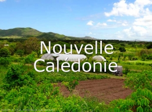 Nouvelle-Caledonie