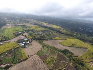 paysage-agricole-reunion