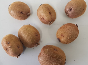 Grêle_fruits