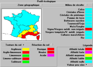 Centaurea melitensis repartition