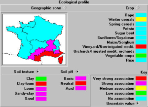 Cnicus benedictus distribution