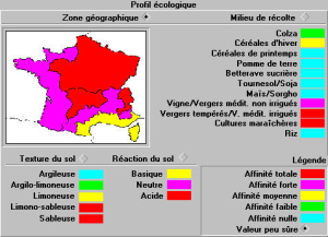 Descurainia sophia repartition