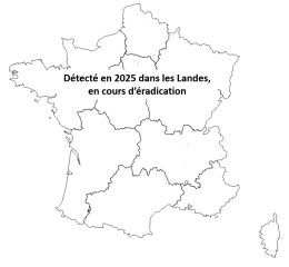 carte_nematode_France2025