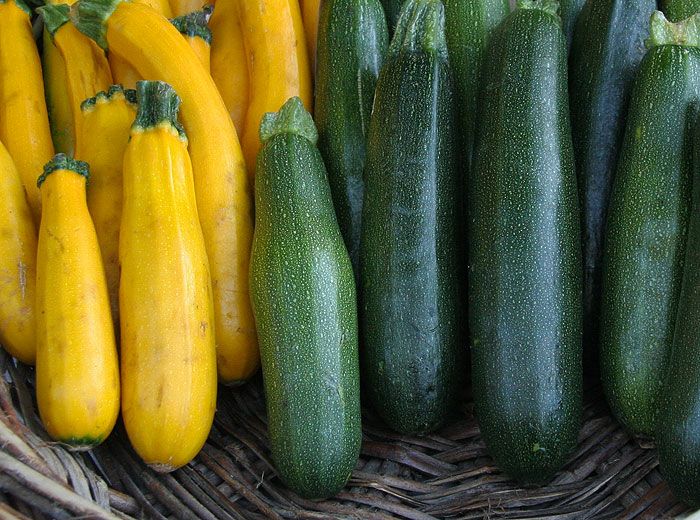 Courgette & courges