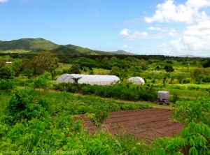 Nouvelle-Caledonie