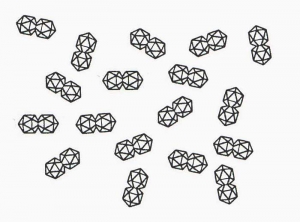 geminivirus_TYDV